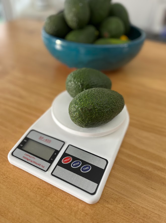 Balanza Pesa para Alimentos (1 a 10